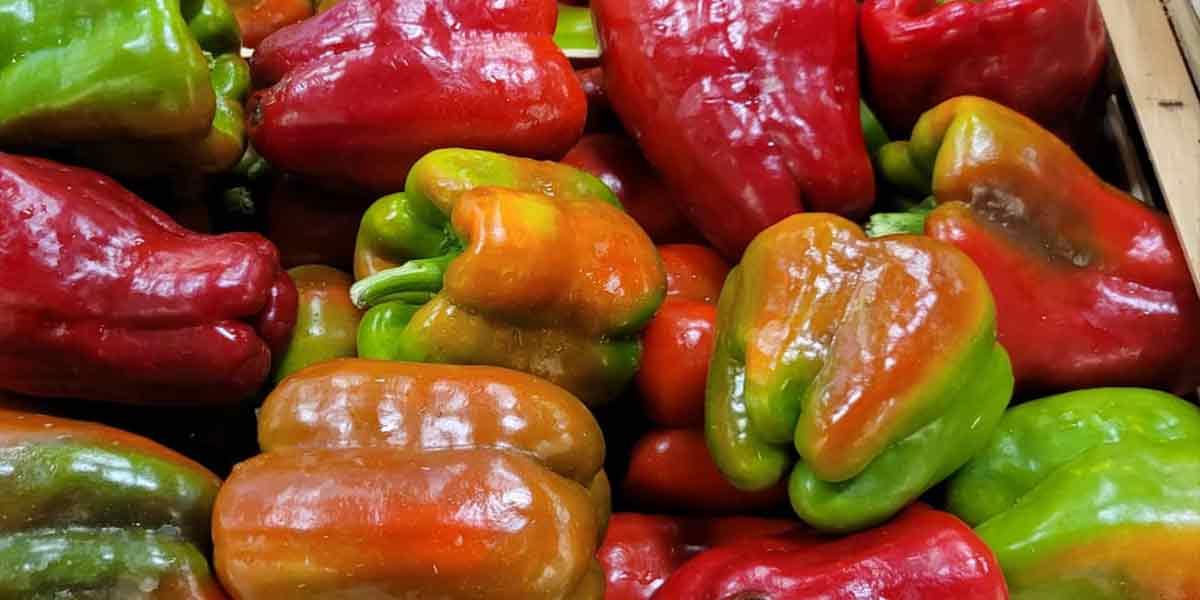 Peperone - Veneto - 1,50 euro al chilogrammo